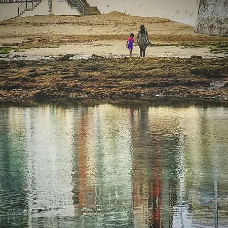 Bareda * לאס פאלמס דה גראן קנאריה